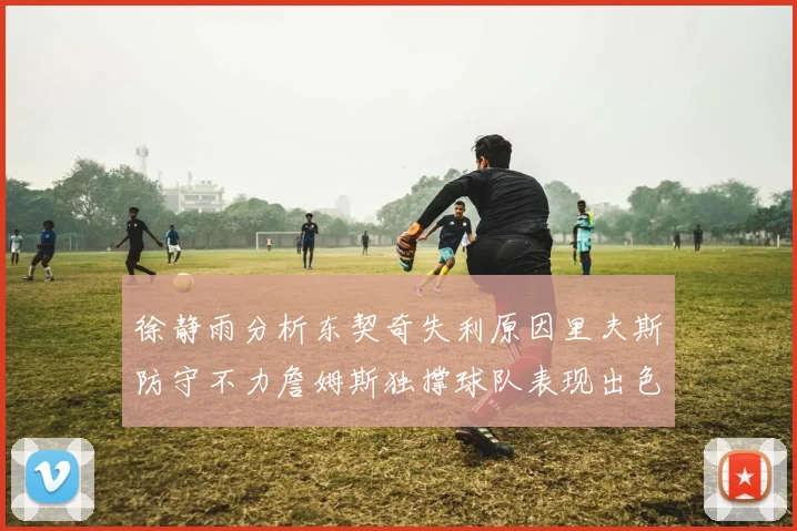 徐静雨分析东契奇失利原因里夫斯防守不力詹姆斯独撑球队表现出色